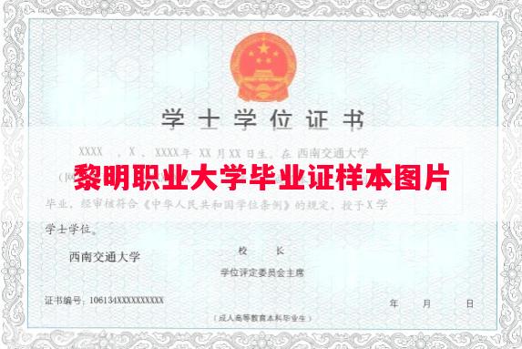 黎明职业大学毕业证样本图片