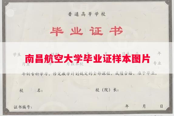 南昌航空大学毕业证样本图片