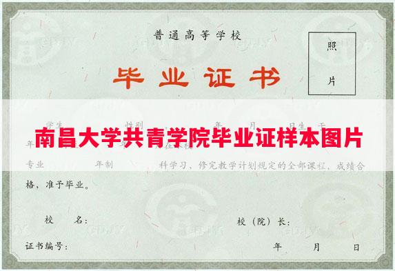 南昌大学共青学院毕业证样本图片