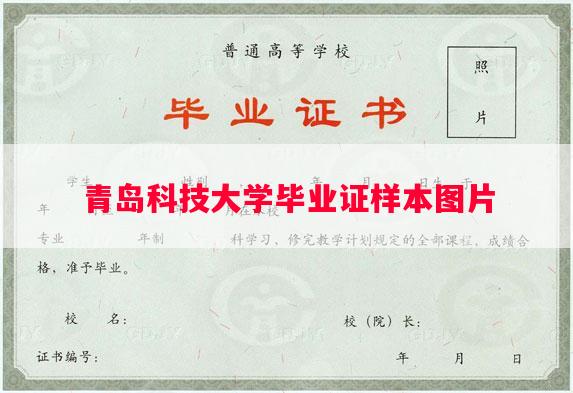 青岛科技大学毕业证样本图片