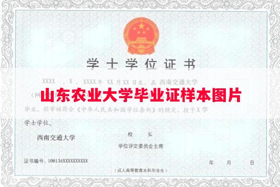山东农业大学毕业证样本图片