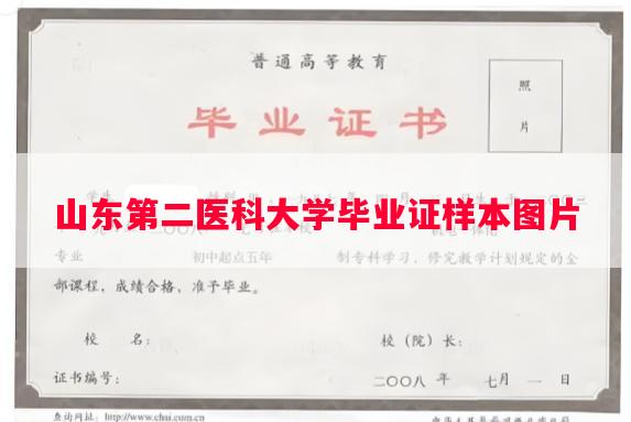 山东第二医科大学毕业证样本图片