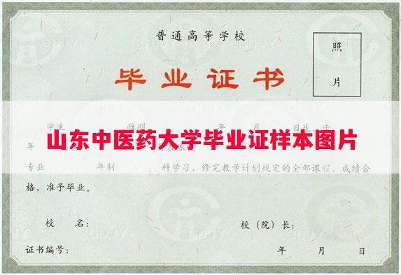 山东中医药大学毕业证样本图片