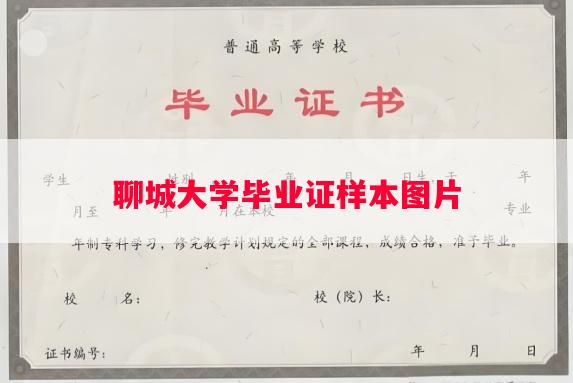 聊城大学毕业证样本图片
