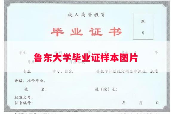 鲁东大学毕业证样本图片