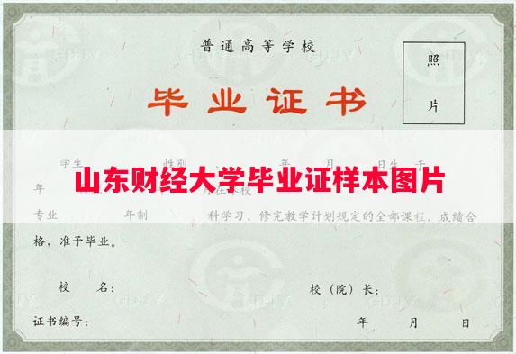 山东财经大学毕业证样本图片