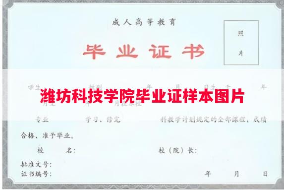 潍坊科技学院毕业证样本图片