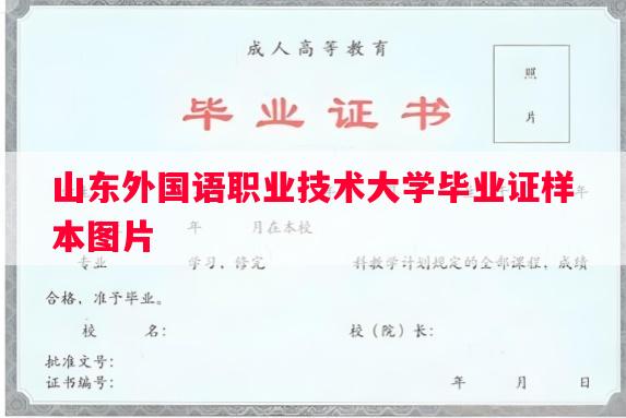 山东外国语职业技术大学毕业证样本图片