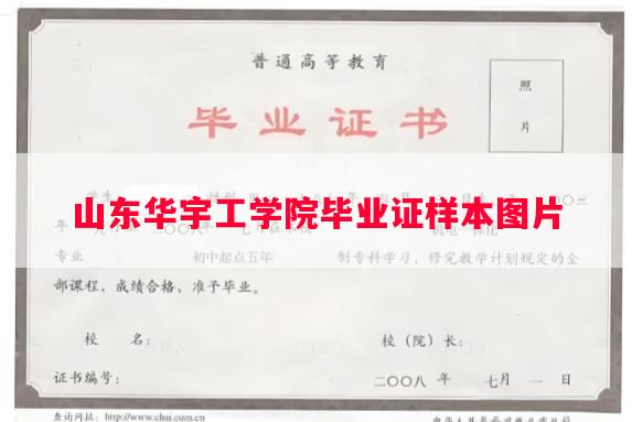 山东华宇工学院毕业证样本图片