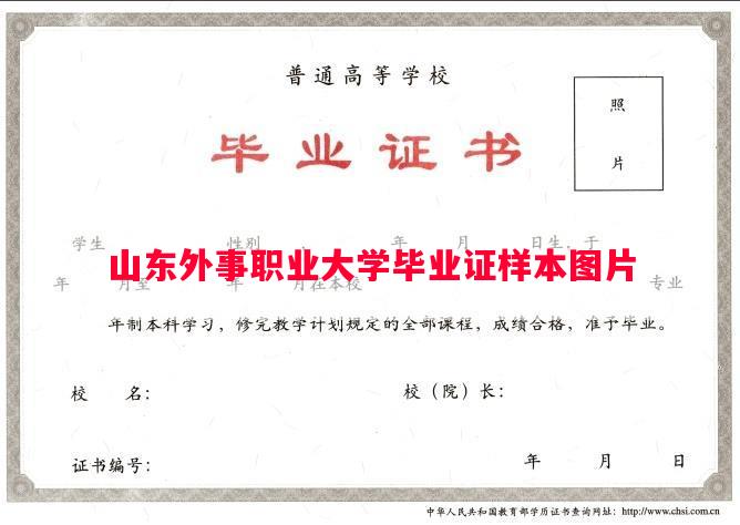 山东外事职业大学毕业证样本图片