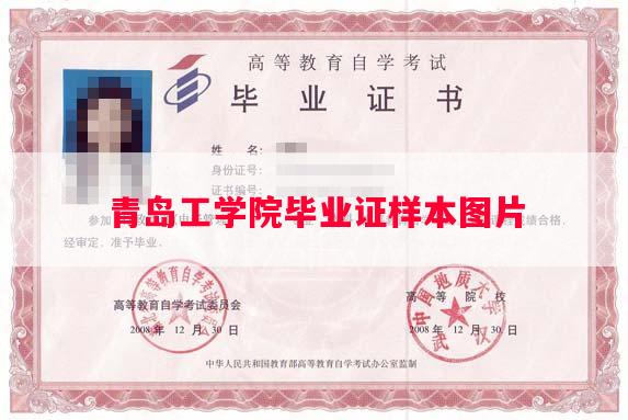 青岛工学院毕业证样本图片