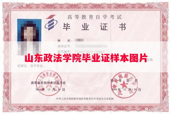 山东政法学院毕业证样本图片