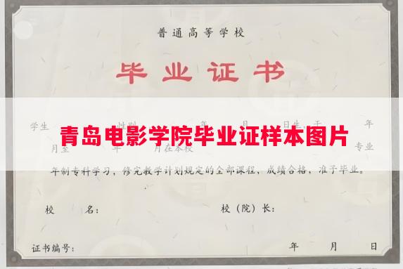 青岛电影学院毕业证样本图片