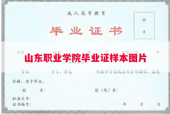 山东职业学院毕业证样本图片