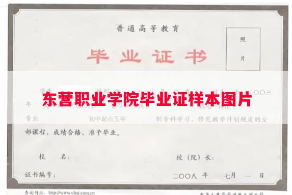 东营职业学院毕业证样本图片