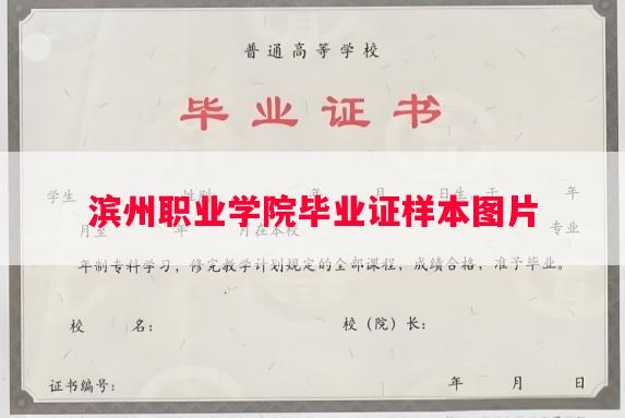 滨州职业学院毕业证样本图片