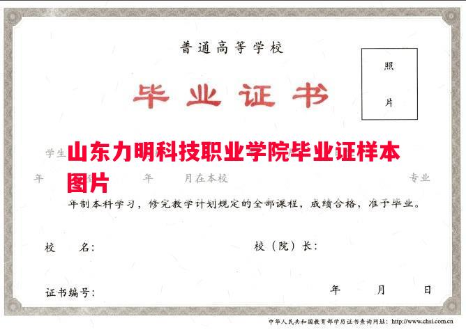 山东力明科技职业学院毕业证样本图片