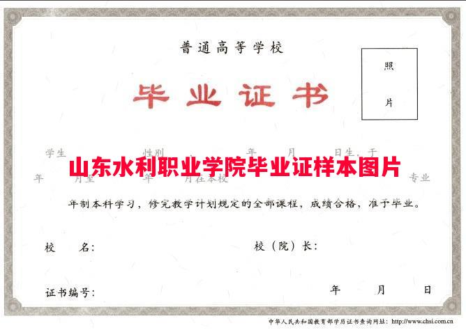 山东水利职业学院毕业证样本图片