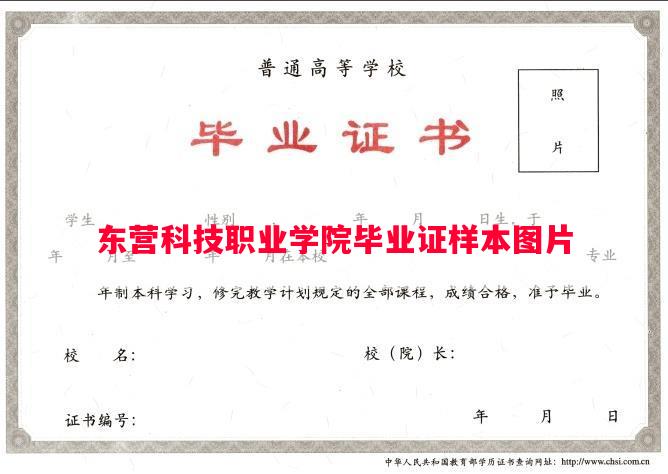 东营科技职业学院毕业证样本图片