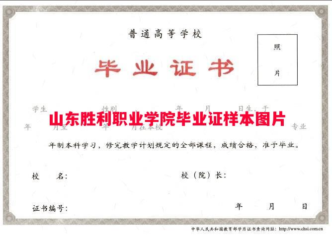 山东胜利职业学院毕业证样本图片