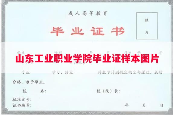 山东工业职业学院毕业证样本图片