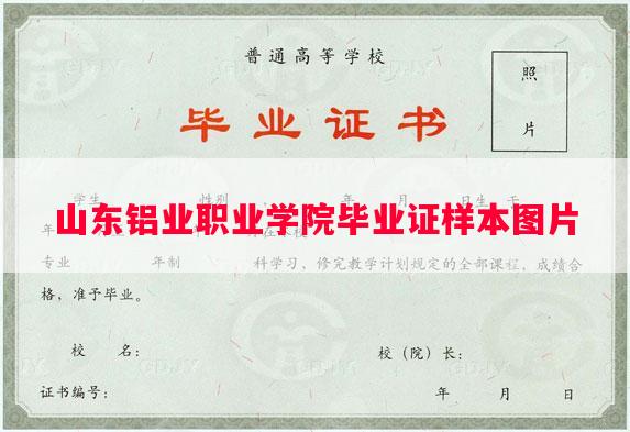 山东铝业职业学院毕业证样本图片