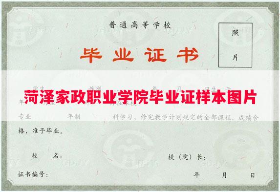 菏泽家政职业学院毕业证样本图片