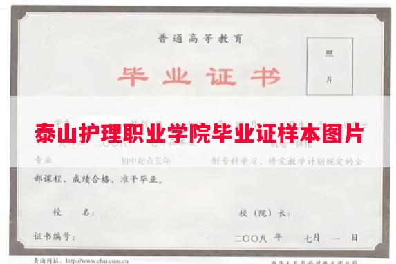 泰山护理职业学院毕业证样本图片