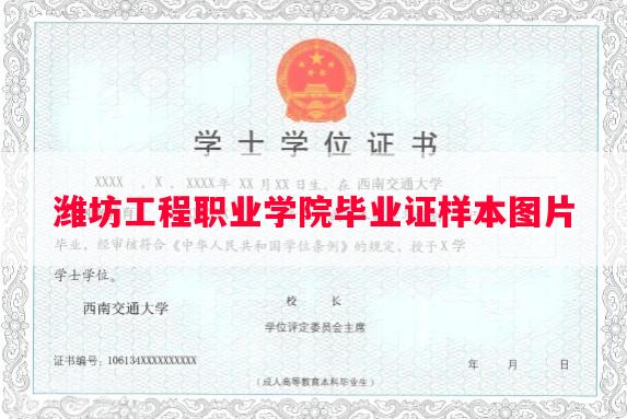 潍坊工程职业学院毕业证样本图片