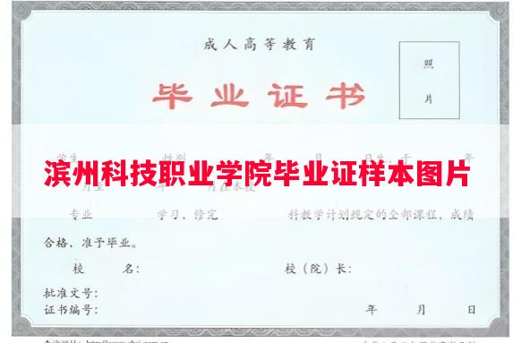 滨州科技职业学院毕业证样本图片