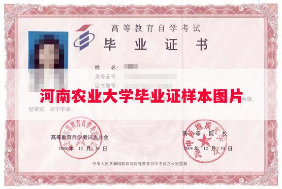 河南农业大学毕业证样本图片