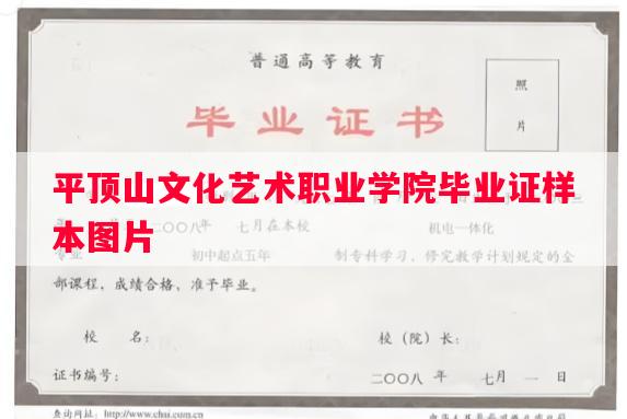 平顶山文化艺术职业学院毕业证样本图片