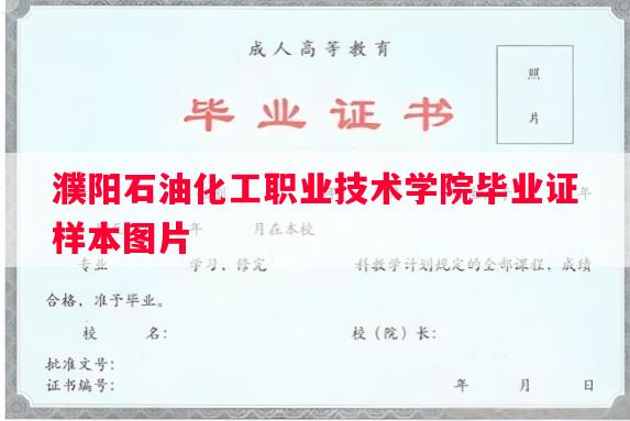 濮阳石油化工职业技术学院毕业证样本图片