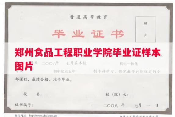 郑州食品工程职业学院毕业证样本图片