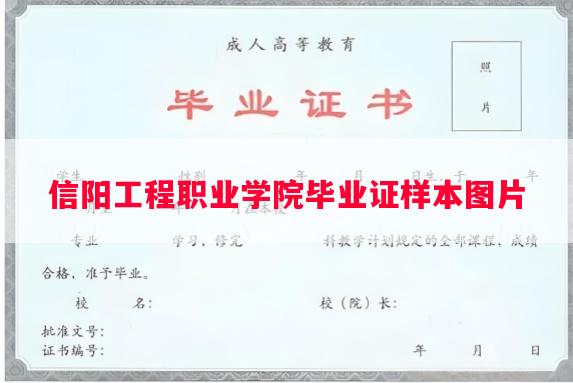 信阳工程职业学院毕业证样本图片
