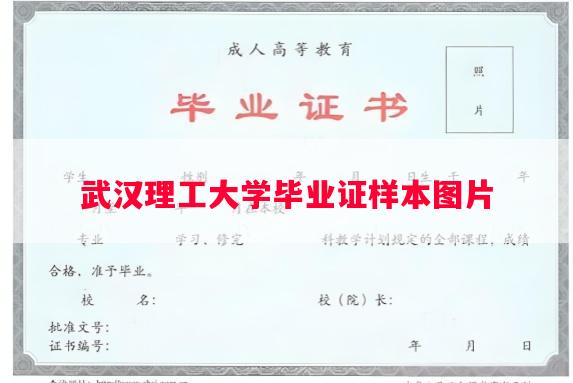 武汉理工大学毕业证样本图片