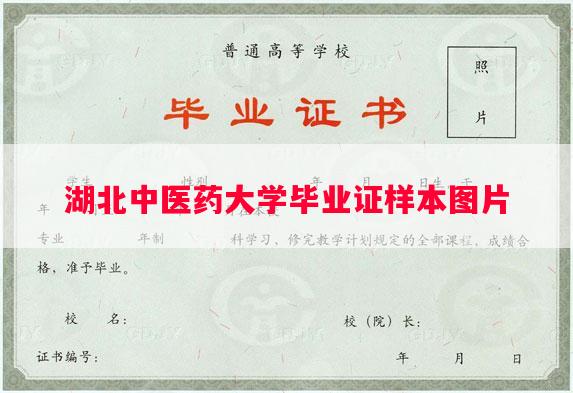湖北中医药大学毕业证样本图片