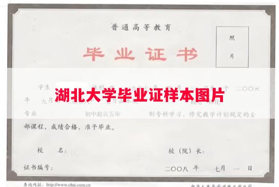 湖北大学毕业证样本图片