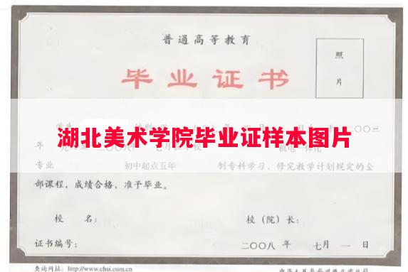 湖北美术学院毕业证样本图片