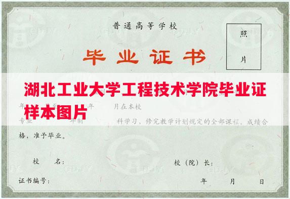 湖北工业大学工程技术学院毕业证样本图片