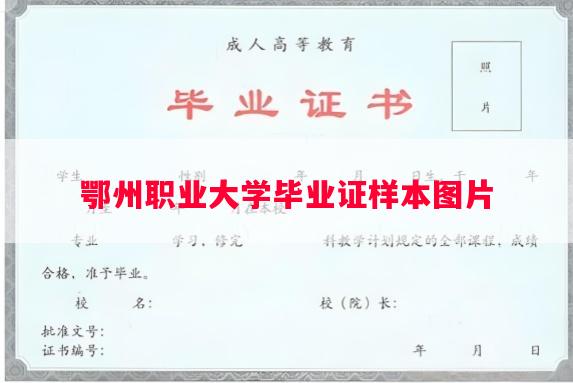 鄂州职业大学毕业证样本图片