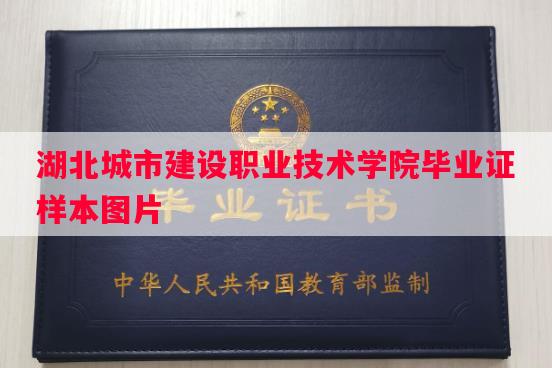 湖北城市建设职业技术学院毕业证样本图片