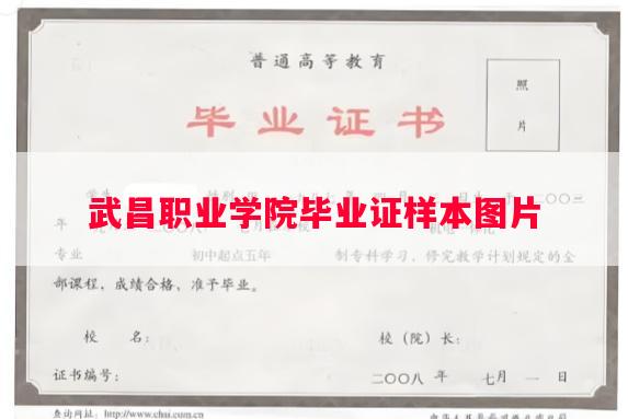 武昌职业学院毕业证样本图片