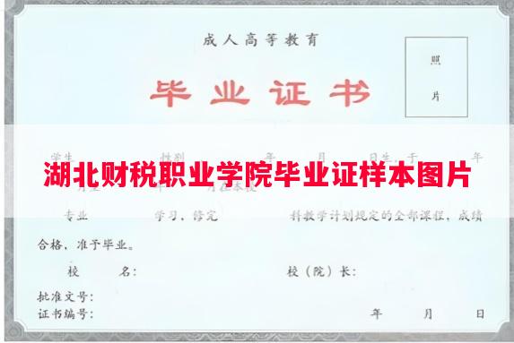 湖北财税职业学院毕业证样本图片