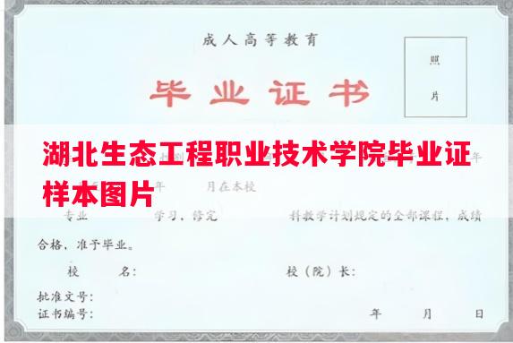 湖北生态工程职业技术学院毕业证样本图片