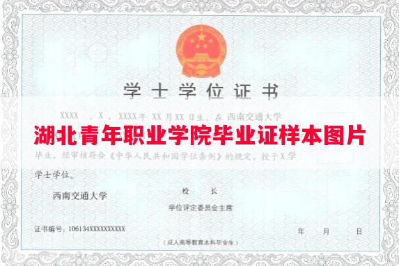 湖北青年职业学院毕业证样本图片