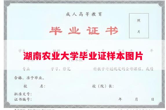 湖南农业大学毕业证样本图片