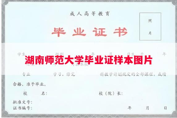 湖南师范大学毕业证样本图片