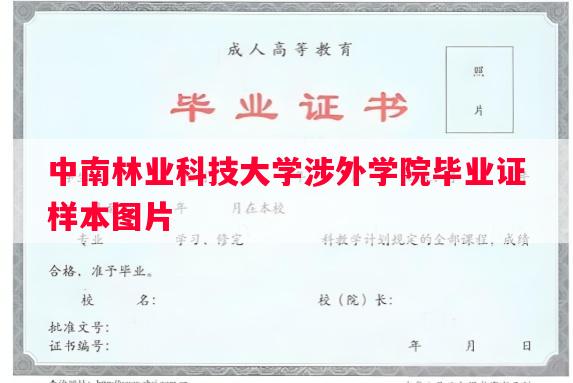 中南林业科技大学涉外学院毕业证样本图片