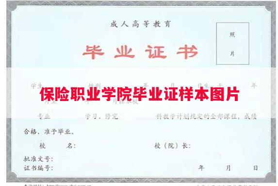 保险职业学院毕业证样本图片